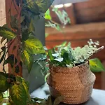 Stone Luxury Gérardmer