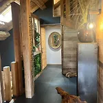 Feriehus Stone Luxury
