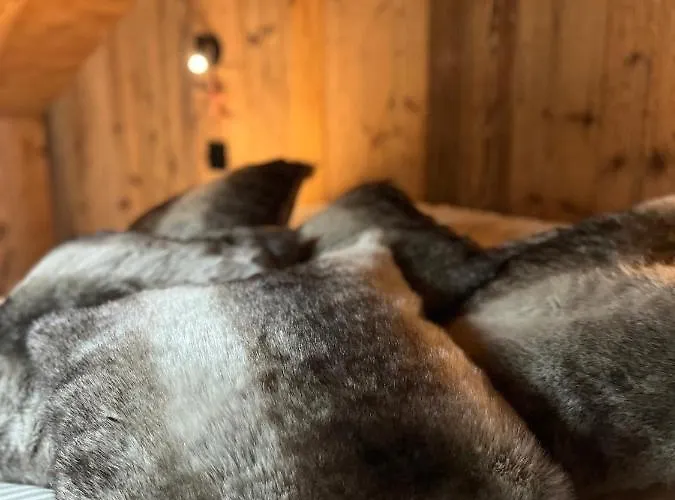 Stone Luxury Vakantiehuis *