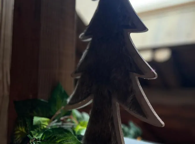 Stone Luxury Vakantiehuis Gérardmer