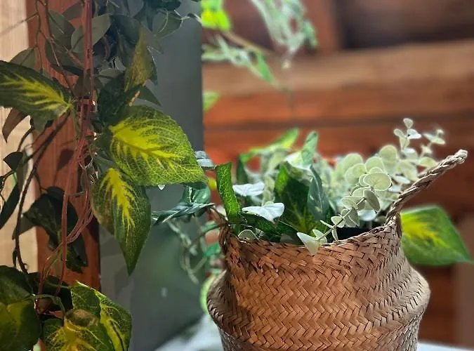 Stone Luxury Gérardmer